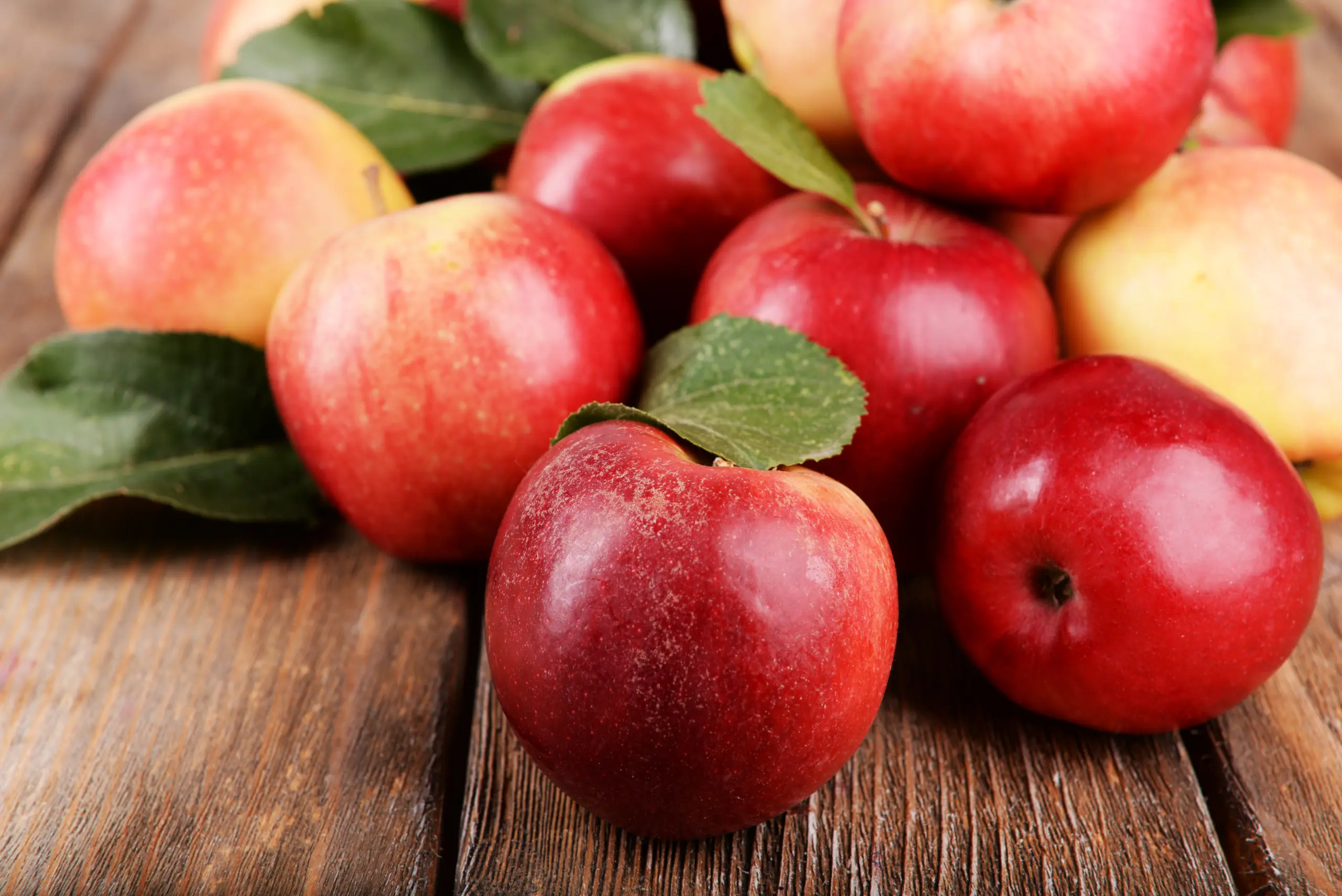 Brothers Ingredients is your source for Apple NFC Juice, Apple Juice Concentrate and Apple Puree.