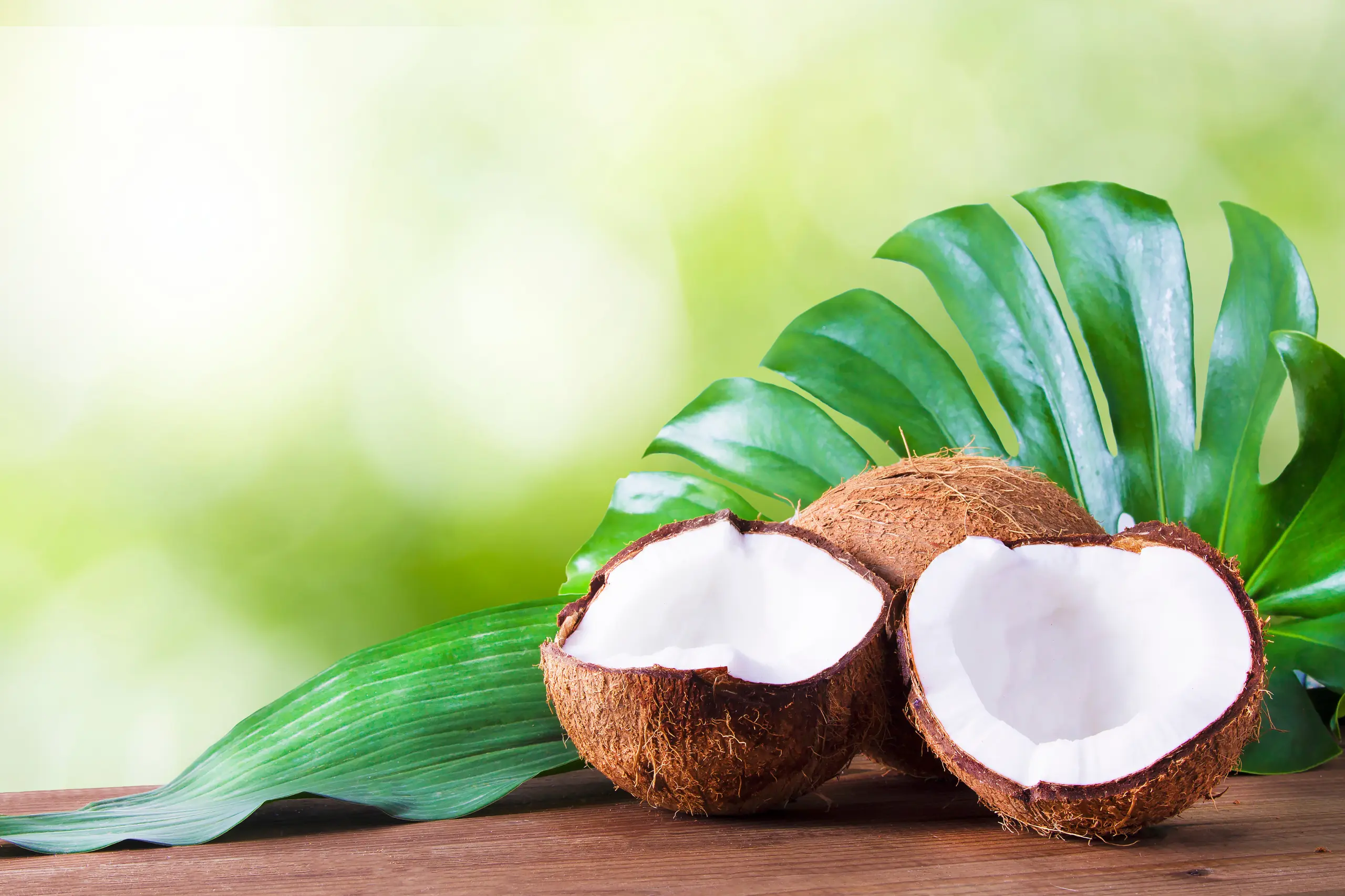 Brothers Ingredients is your source for coconut milk, coconut cream, coconut water and other formats.
