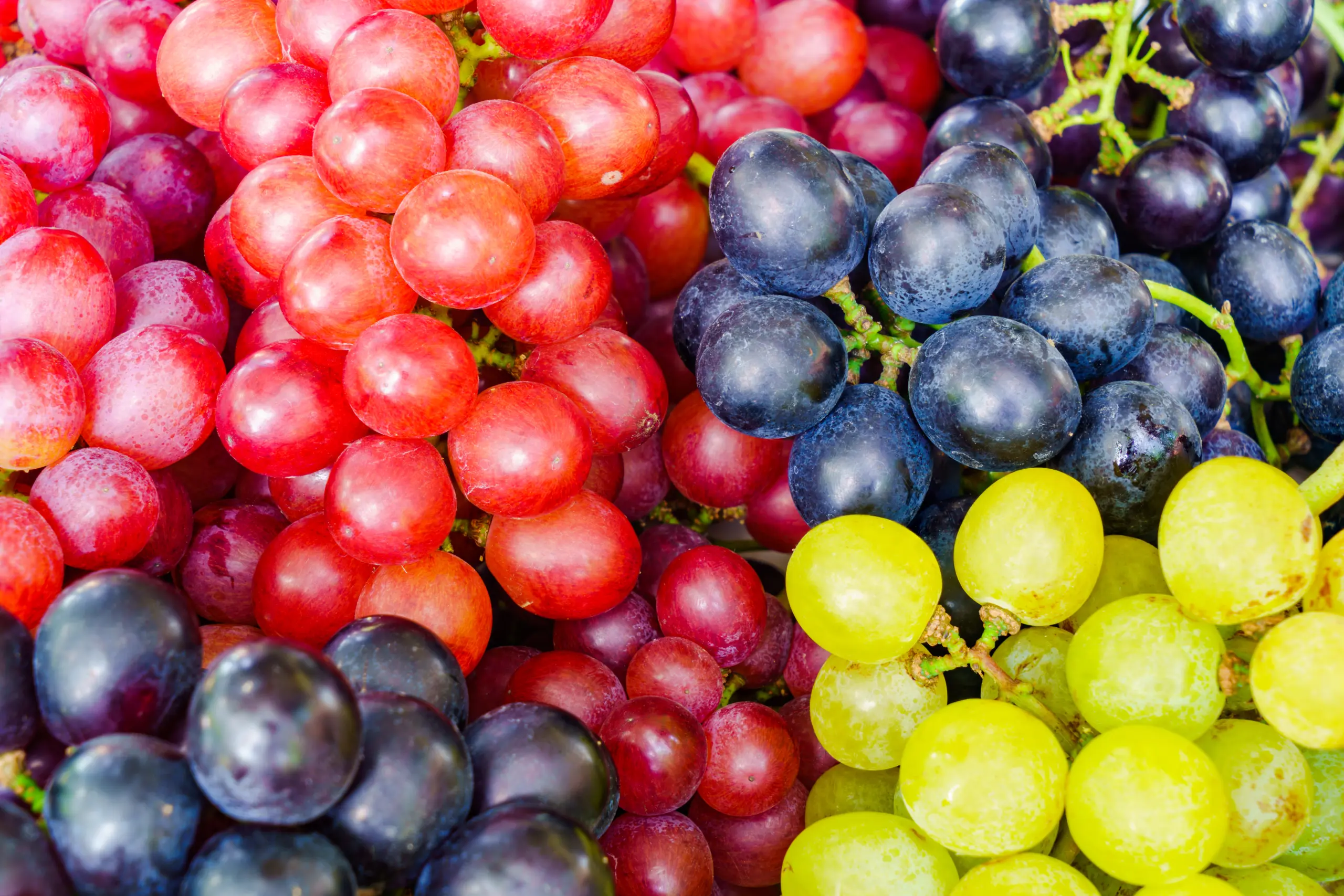 Our fruit experts can supply your food and beverage manufacturing operation with grape NFC juice, grape juice concentrate, grape puree and more.