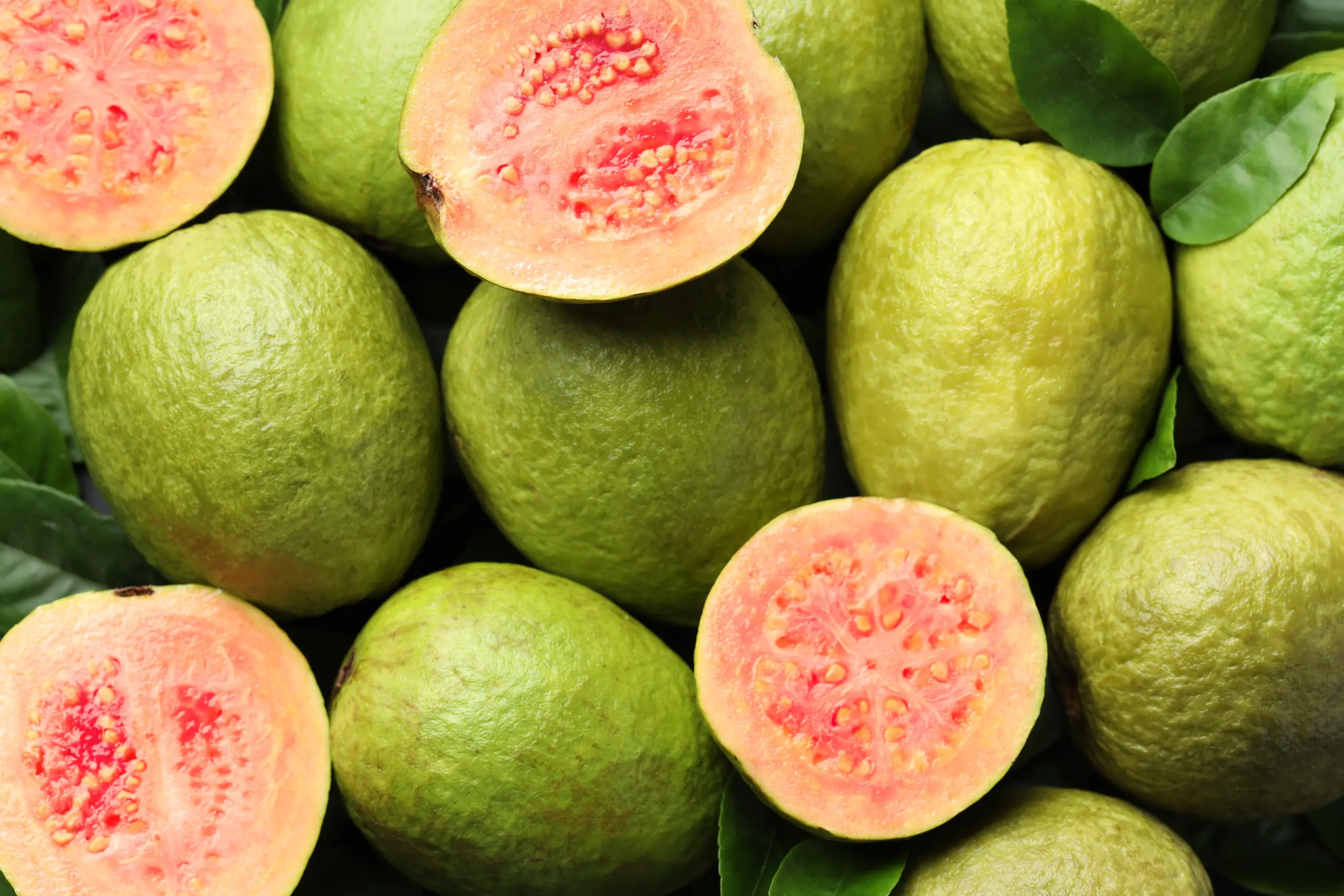 As an international supplier and distributor, Brothers Ingredients can supply customers with guava puree, guava puree extract and guava IQF.