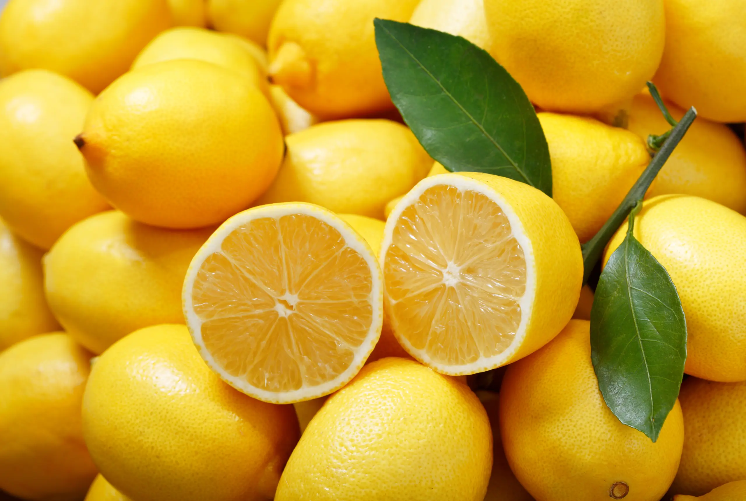 Brothers Ingredients is your supplier and distributor for all things lemon ingredients.