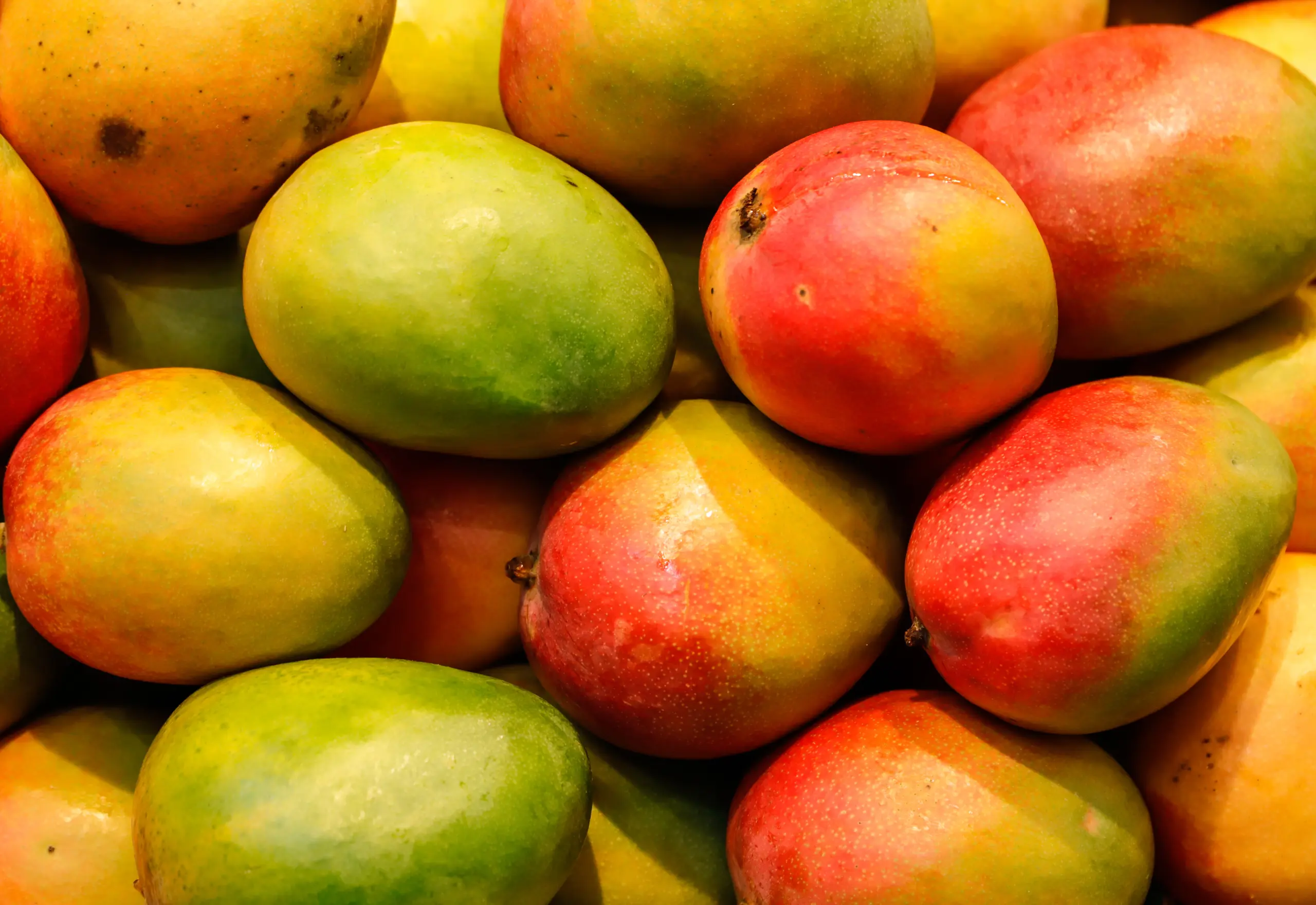 We carry nearly every mango format including mango NFC juice, mango juice concentrate, mango essence and mango oil.