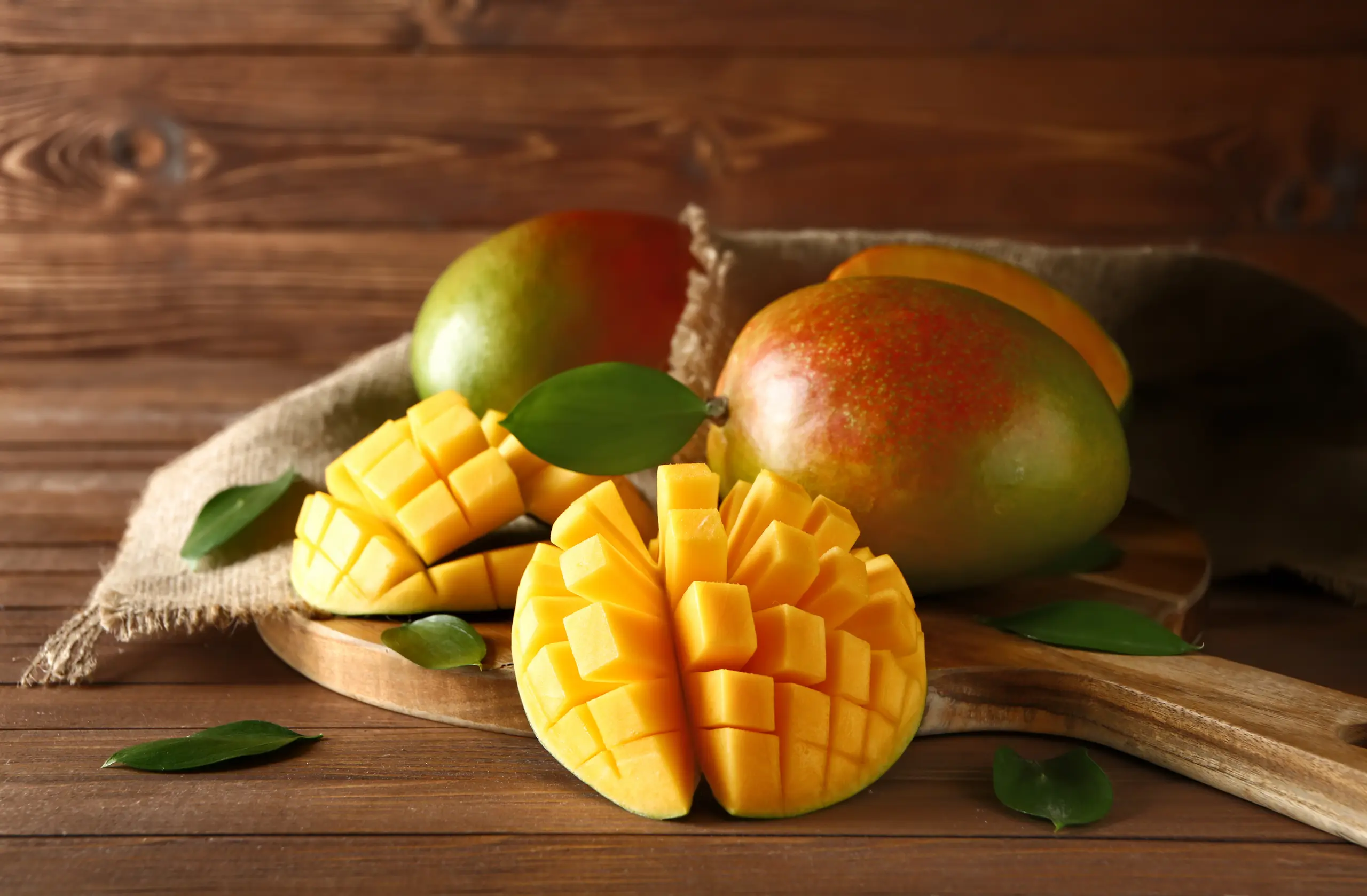 The Brothers International team is able to provide Mango ingredients a huge variety of different formats.
