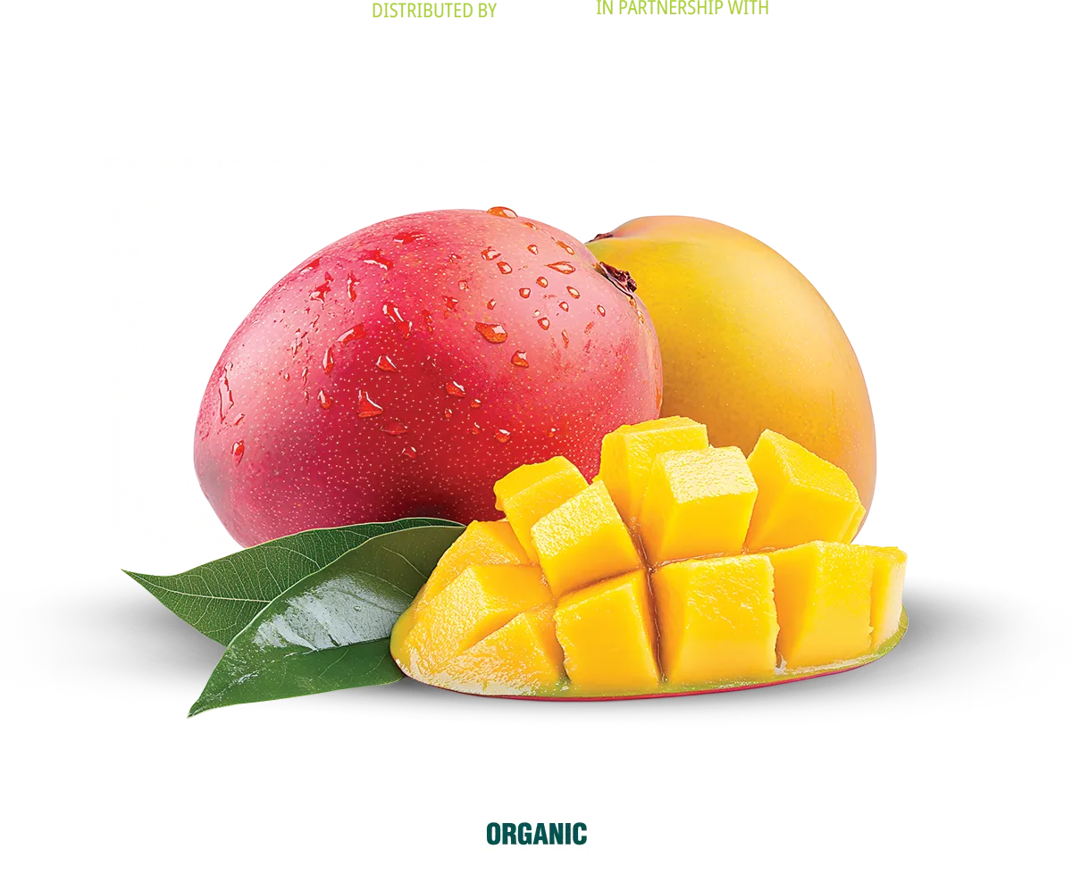 Mango-with-Logos-and-USDA-Organic Brothers International and its divisions are exclusive providers of the Magdalena River Mango.